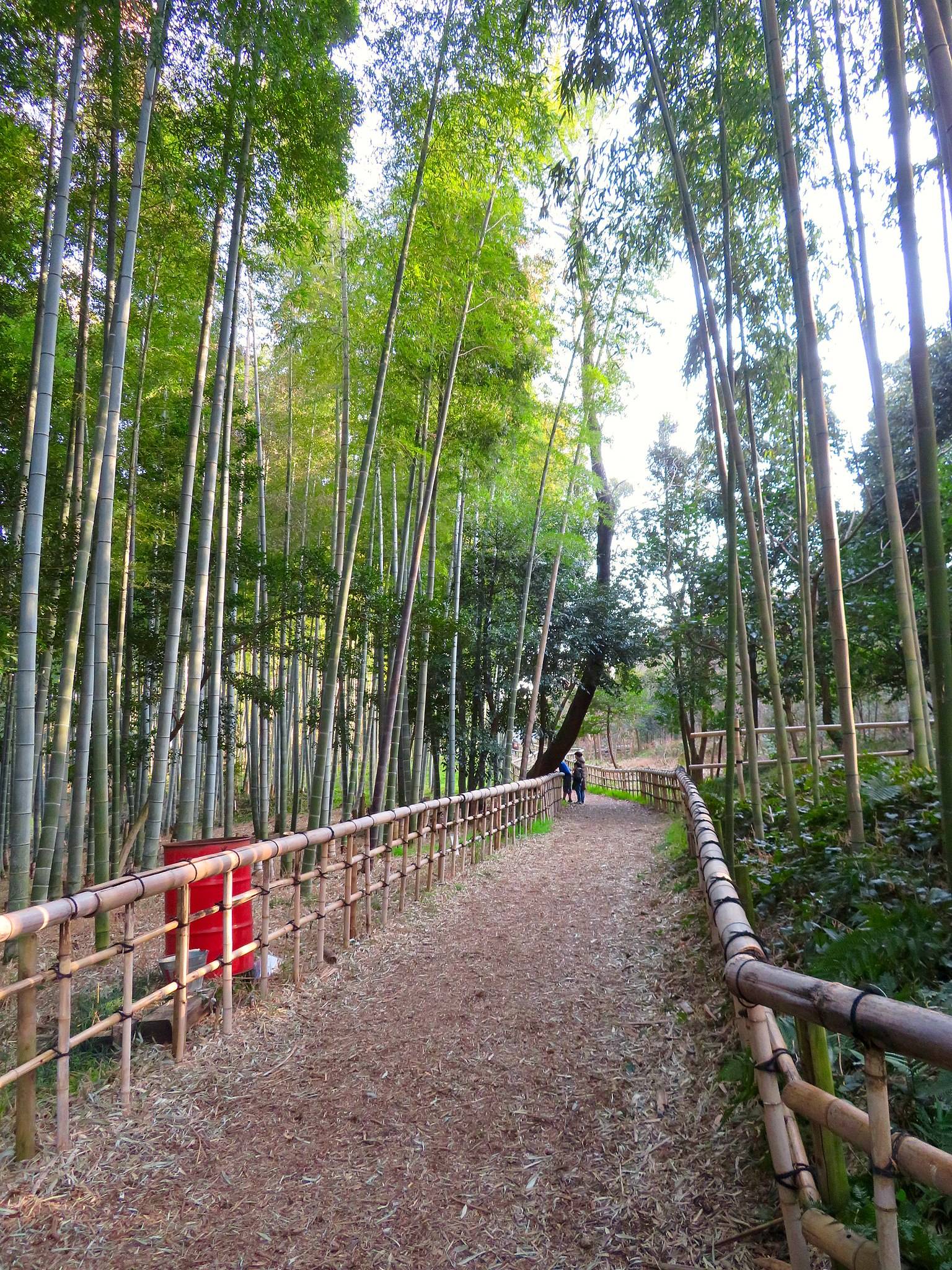 🌸 나고야시 농업센터 델라팜(나고야시 노교센타 데라화무) 이미지 15